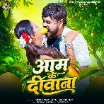 Aam Ke Diwana (Vijay Chauhan, Shilpi Raj)