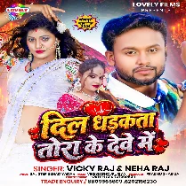 Dil Dhadkata Tora Ke Deve Me