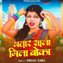 Bhatar Sala Mila Re Boka