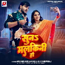 Dali Nimak Dalalu Sabji Me Chini Ho