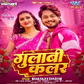 Gulabi Color