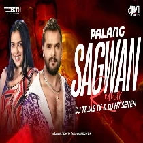 Palang Sagwan Ke DJ Tejas TK X DJ H7 Seven