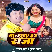 Malpuwa Hai Raja (Vinod Bedardi, Goldi Yadav)