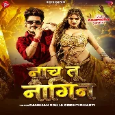 Nach Tu Nagin (Raushan Rohi, Srishti Bharti) 
