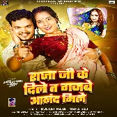 Raja Ji Ke Dile Ta Gajabe Anand Mile (Bullet Raja, Neha Raj)