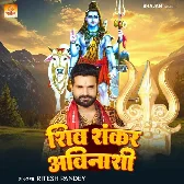 Shiv Shankar Avinashi (Ritesh Pandey) 